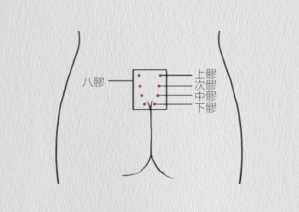 護(hù)理八髎的重要性，美容美體專業(yè)介紹